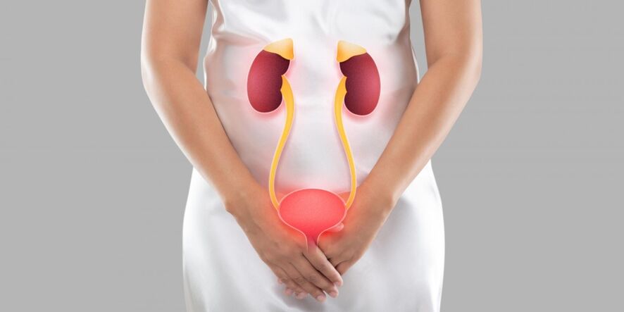 Female cystitis is an inflammation of the tissues of the bladder